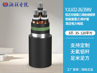 鋁芯交聯(lián)聚乙烯絕緣鋼帶鎧裝聚氯乙烯護(hù)套高壓電力電纜 鋁芯交聯(lián)聚乙烯絕緣鋼帶鎧裝聚氯乙烯護(hù)套高壓電力電纜